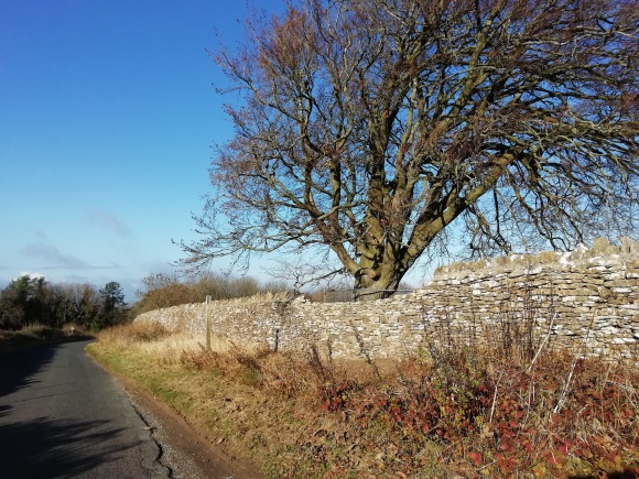 National Trust - Deer Park outer wall to public road Sandy Lane Dyrham Park - mortared coping stones required to finish.